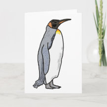 King Penguin