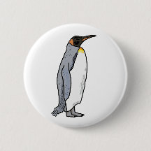 King Penguin