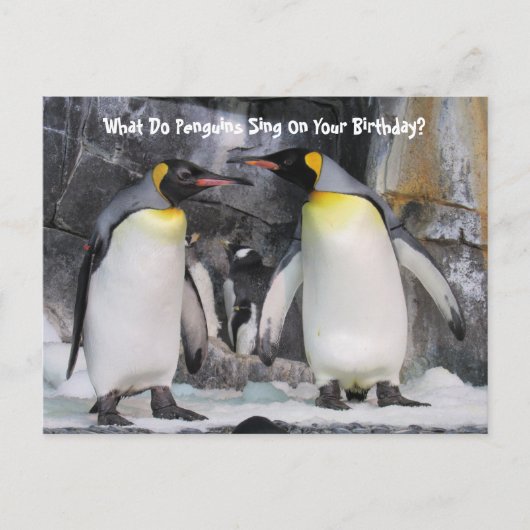 King Penguins Funny Birthday Postcard ポストカード (正面)