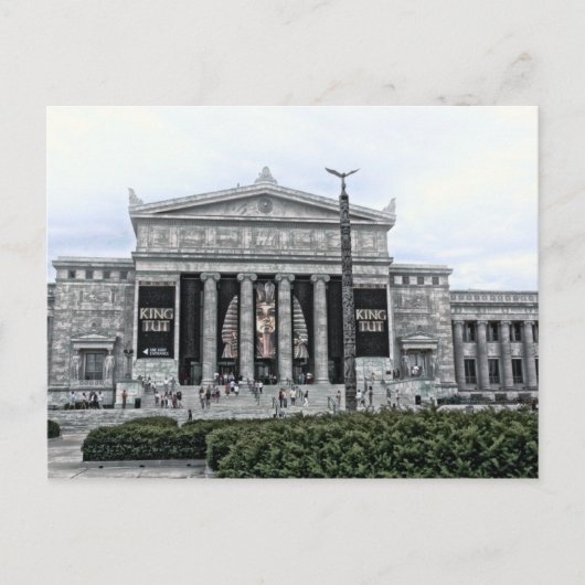 KING TUTフィールドミュージアムポストカード ポストカード (正面)