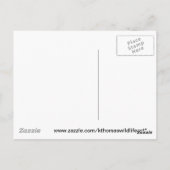 Kingfisher商品 ポストカード (裏面)