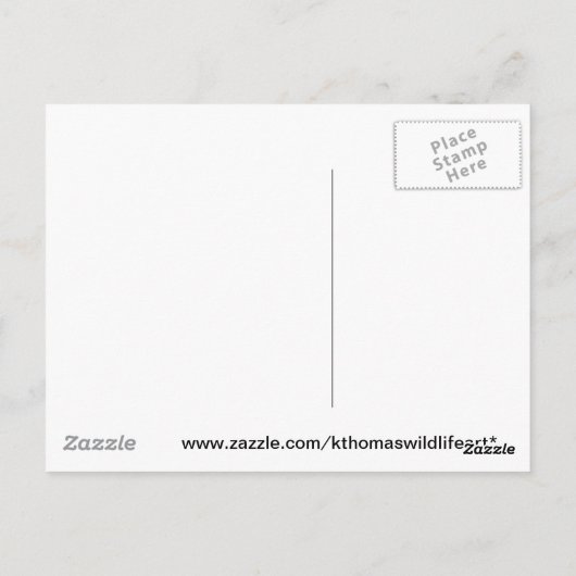 Kingfisher商品 ポストカード (裏面)