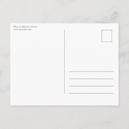 Kingfisher自然写真 ポストカード (裏面)