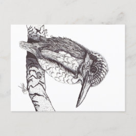 KINGFISHER シーズンポストカード