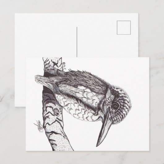 KINGFISHER シーズンポストカード (正面/裏面)