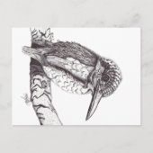 KINGFISHER シーズンポストカード (正面)