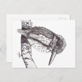 KINGFISHER ポストカード (正面/裏面)