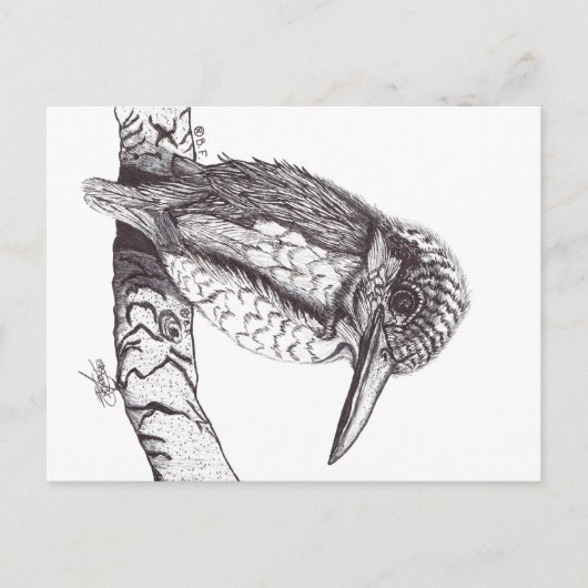 KINGFISHER ポストカード (正面)