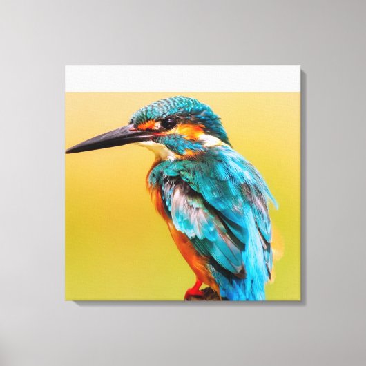 Kingfisher At Dawn Canvas Print キャンバスプリント (正面)