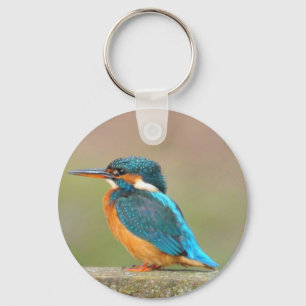 Kingfisher Bird Keychain キーホルダー