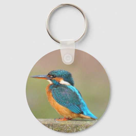 Kingfisher Bird Keychain キーホルダー (正面)