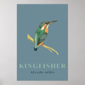 Kingfisher bird vintage  Poster ポスター (正面)