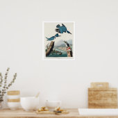 Kingfisher by Audubon Poster ポスター (キッチン)