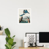 Kingfisher by Audubon Poster ポスター (ホームオフィス)