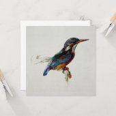Kingfisher (John Ruskin) カード (正面/裏面インサイチュ)