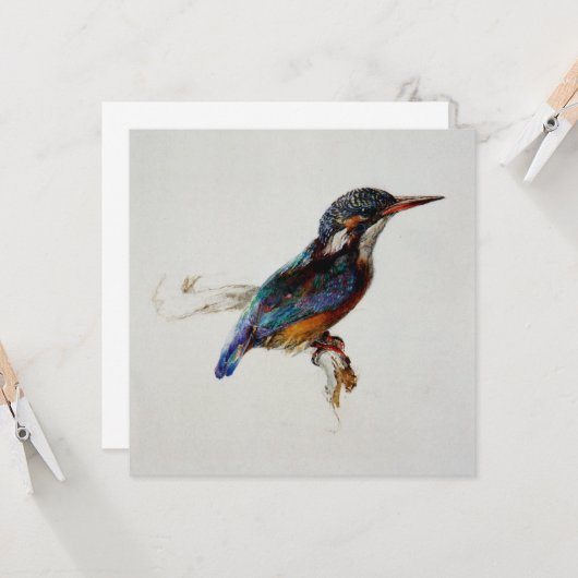 Kingfisher (John Ruskin) カード (正面/裏面インサイチュ)