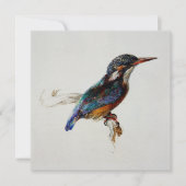 Kingfisher (John Ruskin) カード (正面)