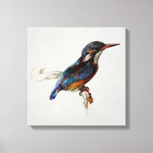 Kingfisher (John Ruskin) キャンバスプリント (正面)