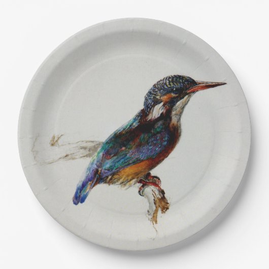Kingfisher (John Ruskin) ペーパープレート (正面)