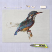 Kingfisher (John Ruskin) 薄葉紙 (クラフト)