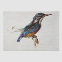 Kingfisher (John Ruskin) 薄葉紙