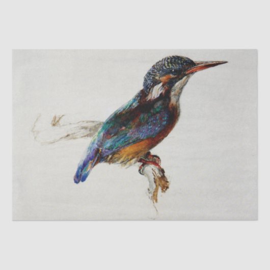Kingfisher (John Ruskin) 薄葉紙 (正面)