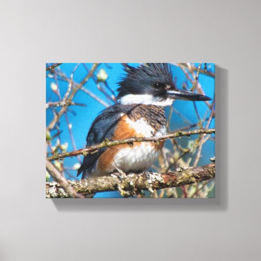 Kingfisher Wild Bird Canvas Print キャンバスプリント (正面)