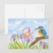  Kingfisher with Purple Irises ポストカード (正面/裏面)