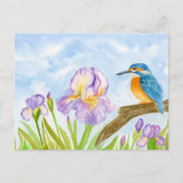 Kingfisher with Purple Irises ポストカード