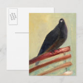 Kingly裁判所ハト2013年 ポストカード (正面/裏面)