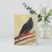 Kingly裁判所ハト2013年 ポストカード (スタンド正面)