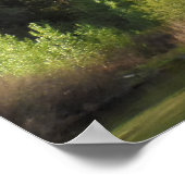 Kings Canyon National Park ポスター (角)