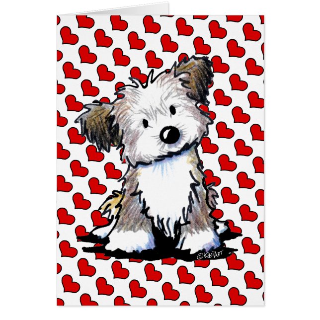 KiniArt Havanese (正面)