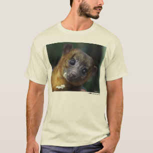 Kinkajouのワイシャツ Tシャツ