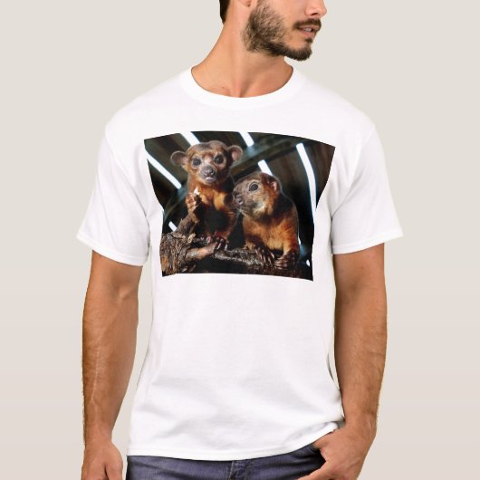 Kinkajous Tシャツ (正面)