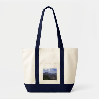 kintamani トートバッグ