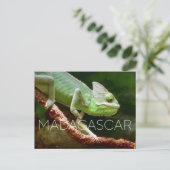 Kirindy, Madagascar Travel Postcard ポストカード (スタンド正面)
