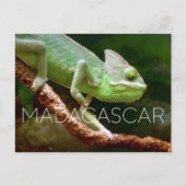 Kirindy, Madagascar Travel Postcard ポストカード (正面)