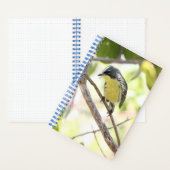Kirtland's Warbler spiral bound bullet journal ノートブック (内側)