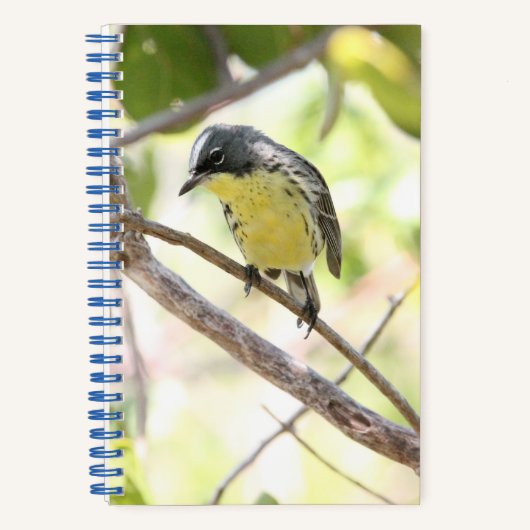 Kirtland's Warbler spiral bound bullet journal ノートブック (正面)