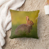 Kissen mit Kaninchen im Abendlicht クッション (ブランケット)