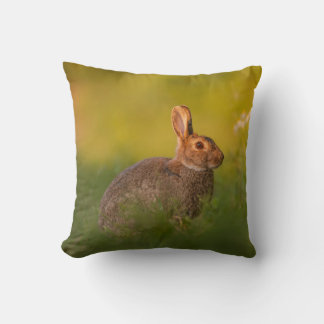 Kissen mit Kaninchen im Abendlicht クッション