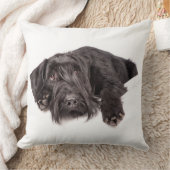 Kissen Riesenschnauzer クッション (ブランケット)