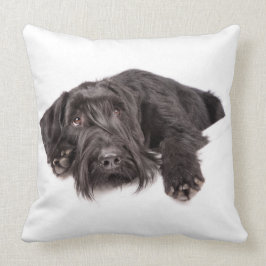 Kissen Riesenschnauzer クッション