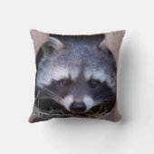 Kissen Waschbär Racoon クッション (裏面)