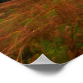 Kissimmee prairie preserve state park, Florida ポスター (角)