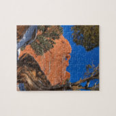 Kissing Camels Framed by Tree 01 ジグソーパズル (横)