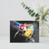 Kissing fish ポストカード (スタンド正面)