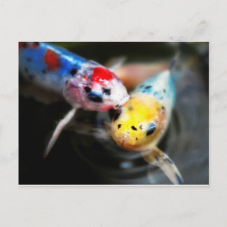 Kissing fish ポストカード
