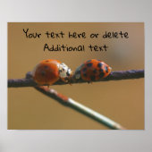 Kissing Ladybugs Personalized ポスター (正面)